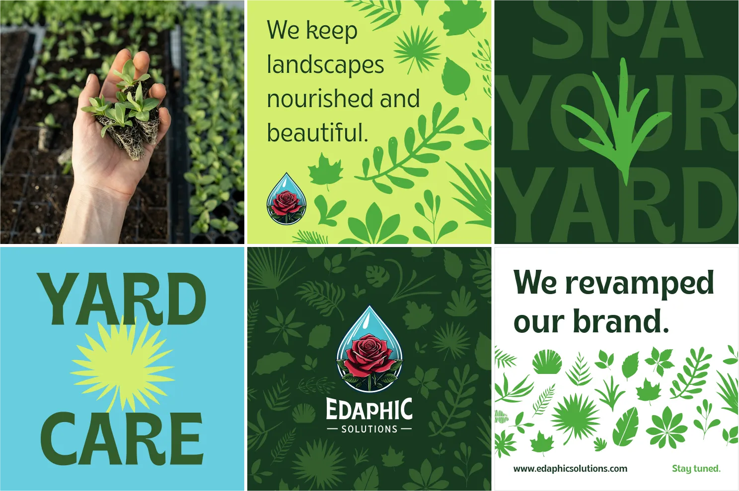 Edaphic Solutions